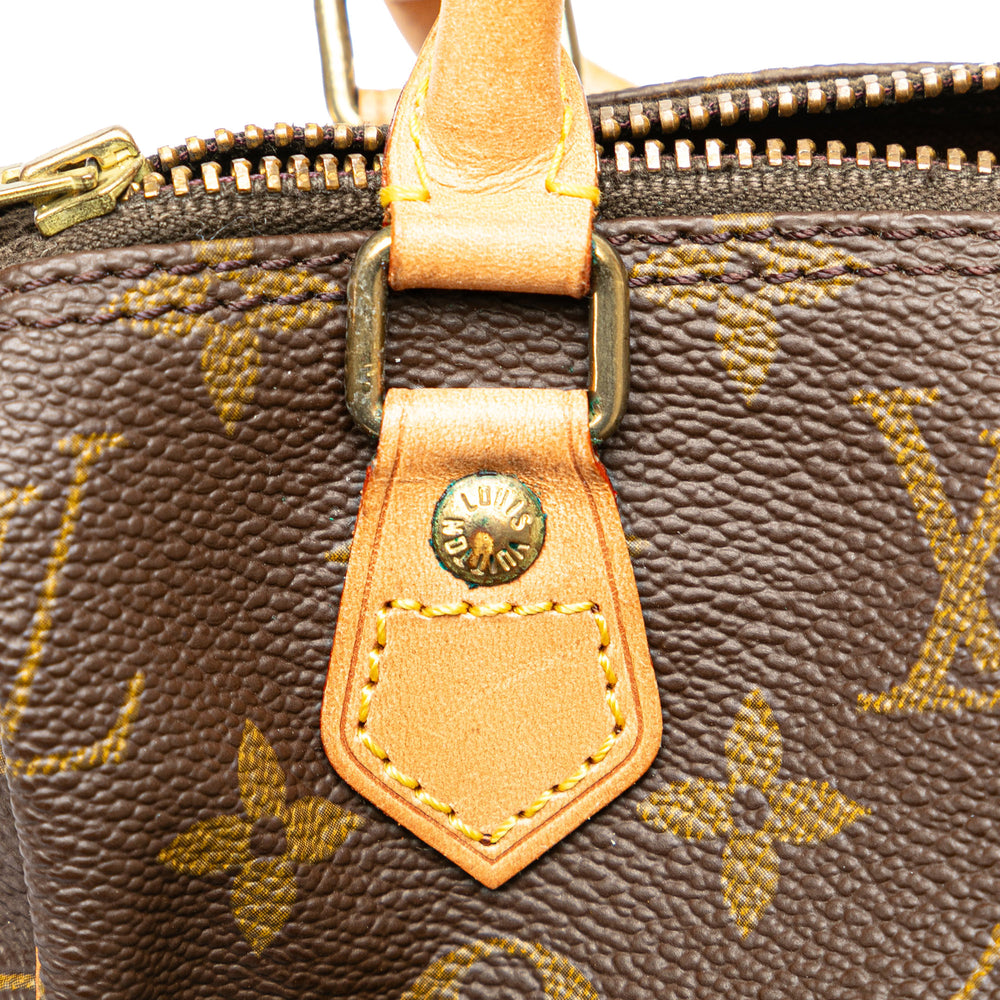 Louis Vuitton Monogram Nano Speedy Bandouliere Brown